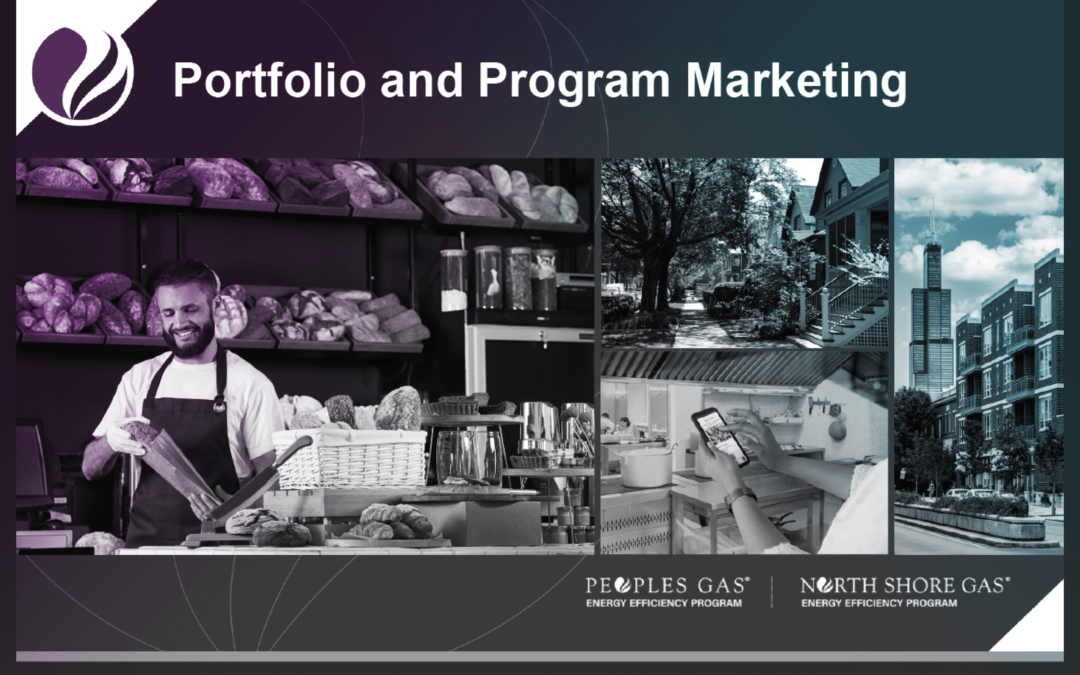 Marketing Portfolio Administration